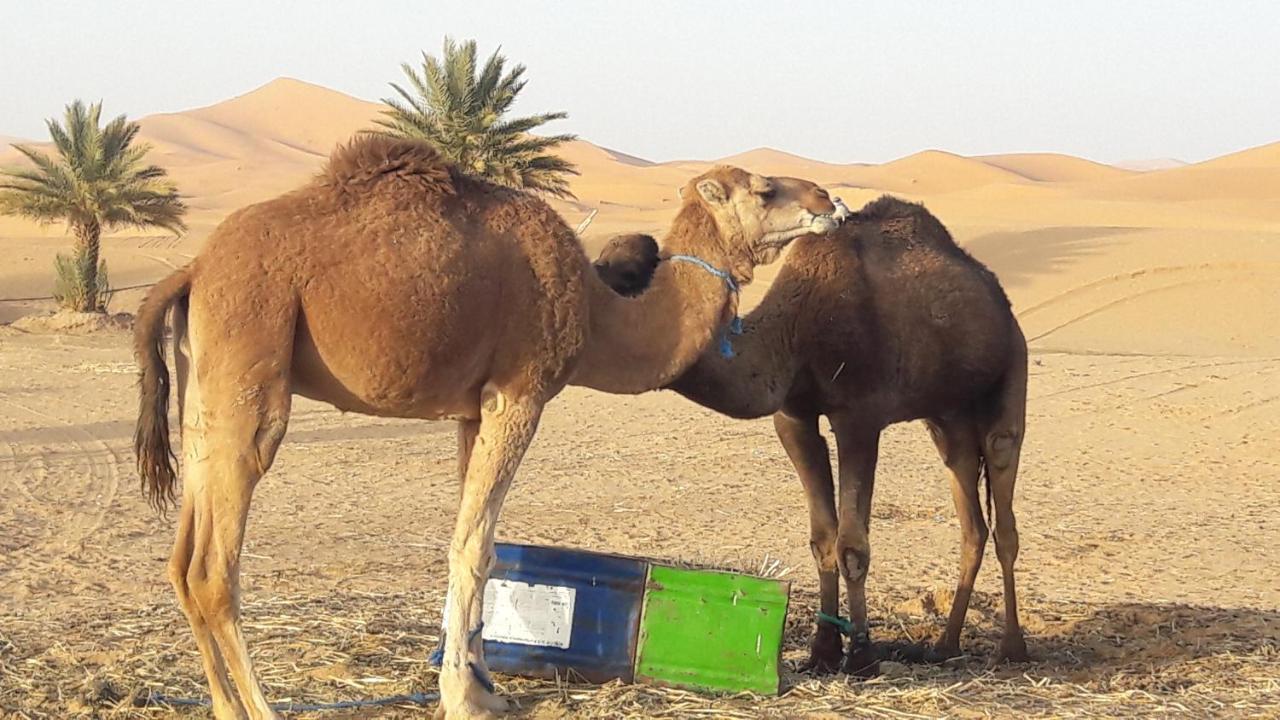 Fabulous Luxury Camp Hotel Merzouga Bagian luar foto